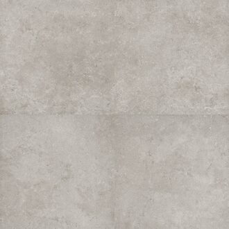 Vloertegel Flaminia Oregon Silver 60x60 cm Gerectificeerd Flaminia