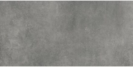 Vloertegel Flaminia Space Antraciet 30x60 cm Prijs p/m2 Flamina