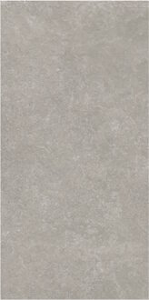 Vloertegel Flaminia Surface Greige 60x120 Gerectificeerd Flaminia