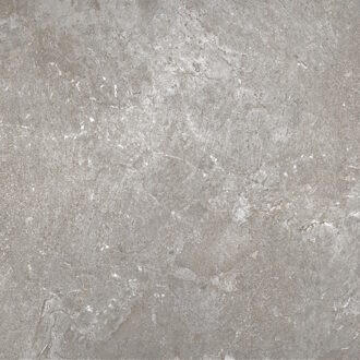 Vloertegel Flaminia Trilogy Greige 60x60 Gerectificeerd Flaminia