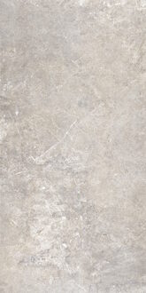 Vloertegel Flaminia Trilogy Sand 60x120 Gerectificeerd Flaminia