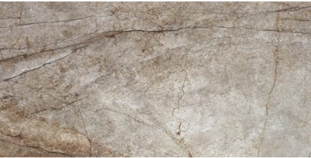 Vloertegel JOS. Rain Forest 10,5 mm Natural Pul Glans 60 x 120 cm Jos.