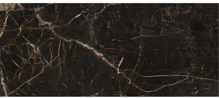 Vloertegel Laurants Brown 120x280 cm Gepolijst Bruin - Vloertegel Laurants Brown 120x280 cm Gepolijst Bruin (prijs Per Tegel)