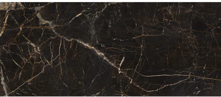 Vloertegel Laurants Brown 120x280 cm Gerectificeerd Mat Bruin - Vloertegel Laurants Brown 120x280 cm Gerectificeerd Mat Bruin (prijs Per Tegel)