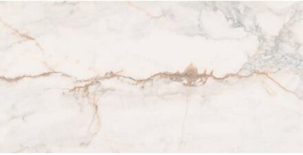 Vloertegel Marbles 60x120 cm Glans Pisa Gold - Vst1737130