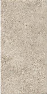 Vloertegel Nativa Falda 120x280 cm Tibur Beige - Vloertegel Nativa Falda 120x280 cm Tibur Beige (prijs Per Tegel)