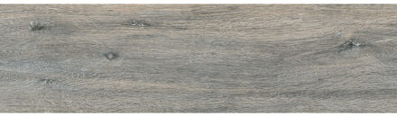Vloertegel Pamesa At Viggo Ceniza 20x75 cm Mat Grijs Pamesa