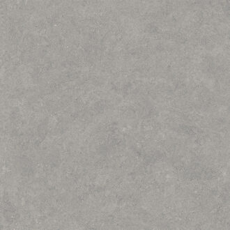 Vloertegel Pamesa Cromat Gris 120x120 cm Gerectificeerd Mat Grijs Pamesa