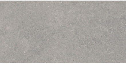 Vloertegel Pamesa Cromat Gris 30x60 cm Gerectificeerd Mat Grijs Pamesa