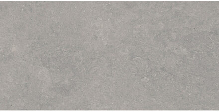 Vloertegel Pamesa Cromat Gris 60x120 cm Gerectificeerd Mat Grijs Pamesa