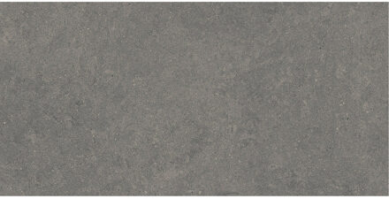 Vloertegel Pamesa Cromat Marengo 30x60 cm Gerectificeerd Mat Antraciet Pamesa