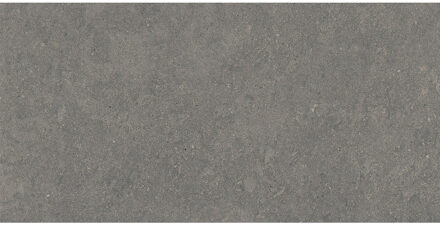 Vloertegel Pamesa Cromat Marengo 60x120 cm Gerectificeerd Mat Antraciet Pamesa