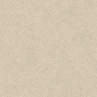 Vloertegel Pamesa Cromat Marfil 90x90 cm Gerectificeerd Mat Beige Pamesa