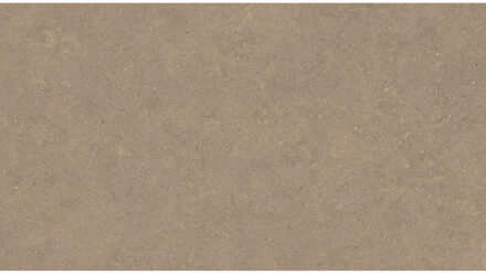 Vloertegel Pamesa Cromat Noce 60x120 cm Gerectificeerd Mat Bruin Pamesa