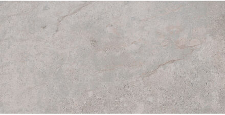 Vloertegel Pamesa Erding Ash 30x60 cm Gerectificeerd Mat Grijs Pamesa