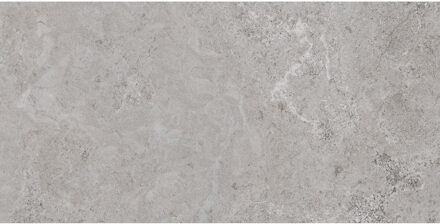 Vloertegel Pamesa Erding Ash 60x120 cm Gerectificeerd Mat Grijs Pamesa