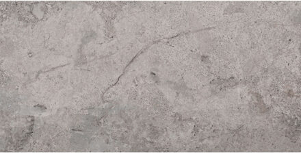 Vloertegel Pamesa Erding Grey 30x60 cm Gerectificeerd Mat Grijs Pamesa