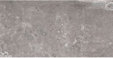 Vloertegel Pamesa Erding Grey 60x120 cm Gerectificeerd Mat Grijs Pamesa