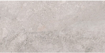 Vloertegel Pamesa Erding Silver 30x60 cm Gerectificeerd Mat Grijs Pamesa