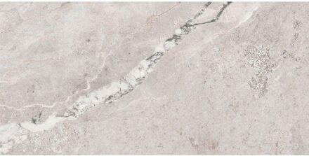 Vloertegel Pamesa Erding Silver 60x120 cm Gerectificeerd Mat Grijs Pamesa