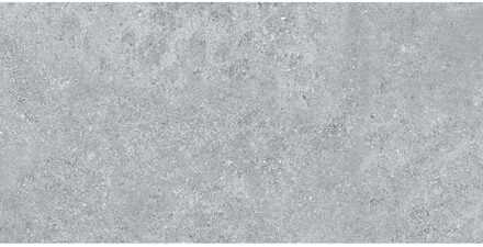 Vloertegel Pamesa Moleanos Smoke 60x120 cm Gerectificeerd Mat Grijs Pamesa