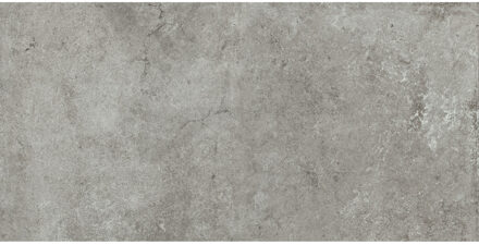 Vloertegel Pamesa Montpellier Ash 60x120 cm Gerectificeerd Mat Grijs Pamesa