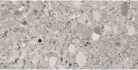 Vloertegel Pamesa Pietra Di Gre Perla 60x120 cm Gerectificeerd Mat Bruin Pamesa