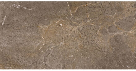 Vloertegel Porcelaingres Royal Stone 30x60 cm Mat Bruin Porcelaingres