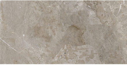 Vloertegel Porcelaingres Royal Stone 30x60 cm Mat Grijs Porcelaingres