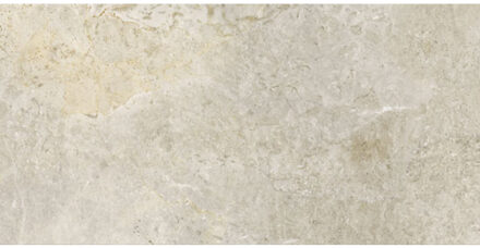 Vloertegel Porcelaingres Royal Stone 30x60 cm Mat Wit Porcelaingres