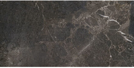 Vloertegel Porcelaingres Royal Stone 30x60 cm Mat Zwart Porcelaingres