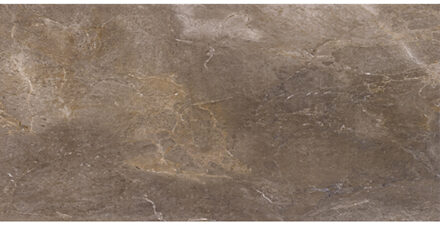 Vloertegel Porcelaingres Royal Stone 60x120 cm Mat Bruin Porcelaingres