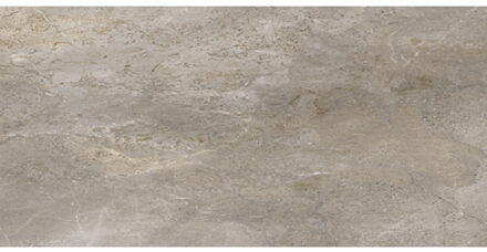 Vloertegel Porcelaingres Royal Stone 60x120 cm Mat Grijs Porcelaingres
