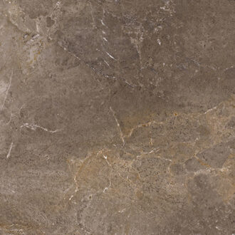 Vloertegel Porcelaingres Royal Stone 60x60 cm Mat Bruin Porcelaingres