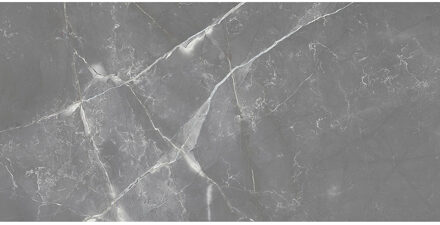 Vloertegel Rak Amani Marble Grijs Mat 60x120 Rak