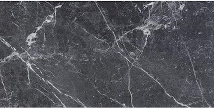 Vloertegel Rak BluedelBelgio Grijs Glans 60x120 Rak