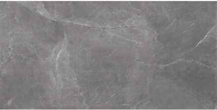 Vloertegel Stonemood 30x60 cm Grey TS-Tiles