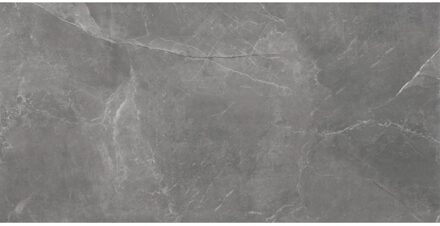 Vloertegel Stonemood 30x60 cm Grey TS-Tiles