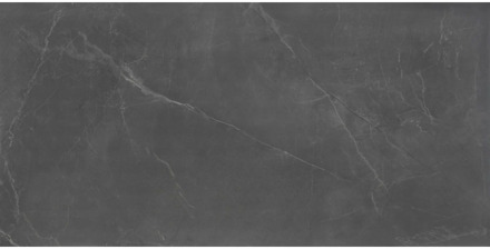 Vloertegel Stonemood 30x60 cm Steel TS-Tiles