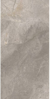 Vloertegel TS-Tiles Stonemaster Silver 60x120 cm TS-Tiles