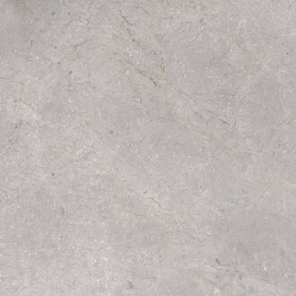Vloertegel TS-Tiles Stonemaster Silver 60x60 cm TS-Tiles