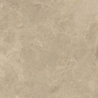 Vloertegel Verde Cosmopolitan 120x120 cm Stonelook Mat Taupe Grijs Verde