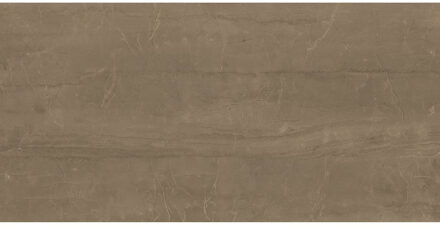Vloertegel XL Etile Kontempo Cinnamon Glans 60x120 cm E-Tile