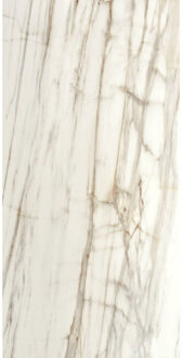 Vloertegel XL Etile Venato Gold Glans 120x260 cm E-Tile