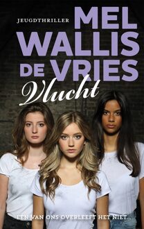 Vlucht - Mel Wallis de Vries - ebook