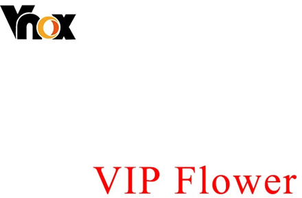 Vnox VIP 12 Zodiac Constellation Signet Ring for Women 14mm Round Top Ring Chunky Heavy Punk Customize Initial Birth Flower