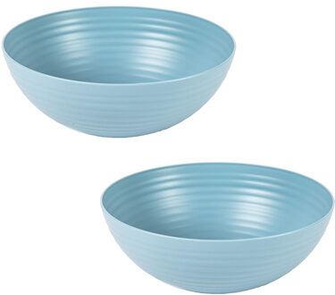 Voedsel Serveerschaal - 2x - saladeschaal - D25 x H10.5 cm - kunststof - ijsblauw