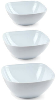 Voedsel serveerschalen set 10x stuks wit kunststof in 3 formaten