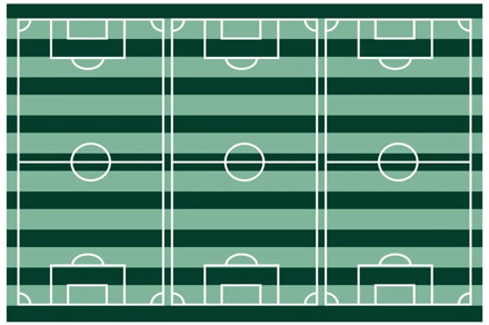 Voetbalveld Tafelkleed 120x180cm Multikleur - Print