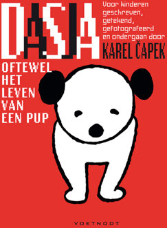 Voetnoot, Uitgeverij Dasja